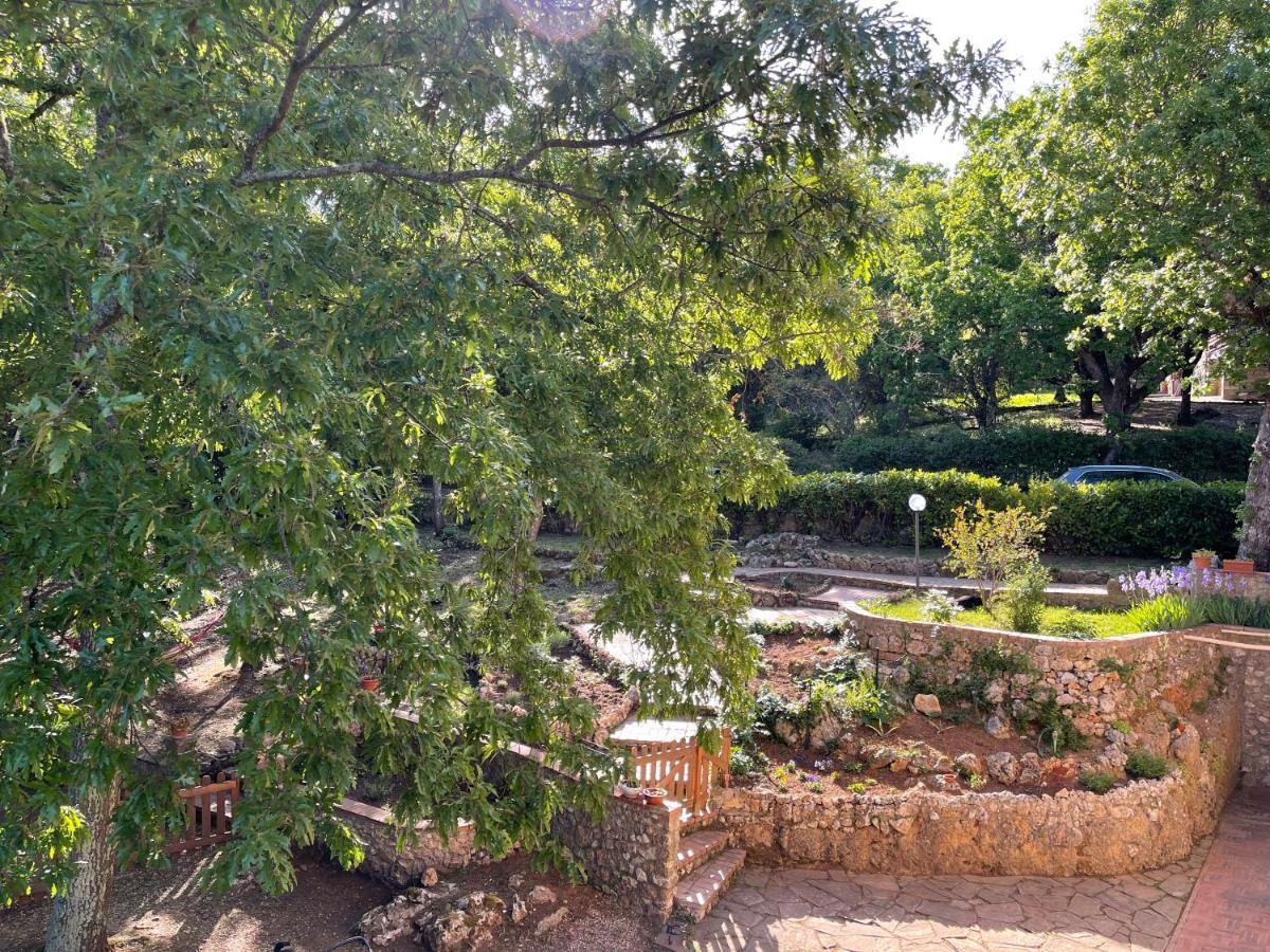 סיינה Villa Lilia By Let מראה חיצוני תמונה