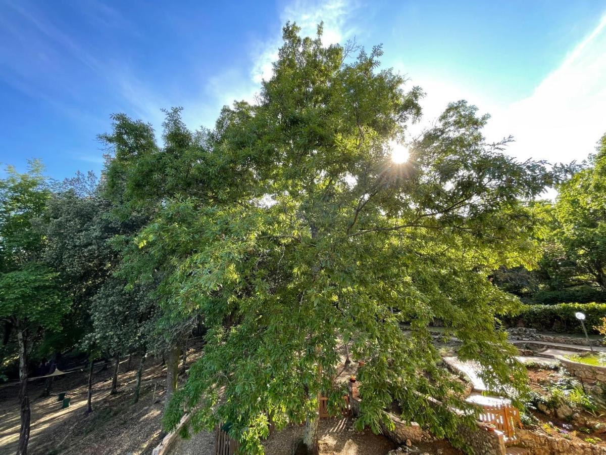 סיינה Villa Lilia By Let מראה חיצוני תמונה