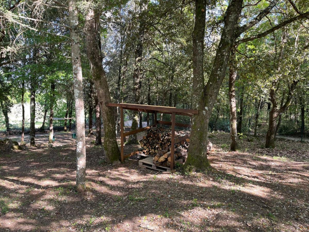 סיינה Villa Lilia By Let מראה חיצוני תמונה